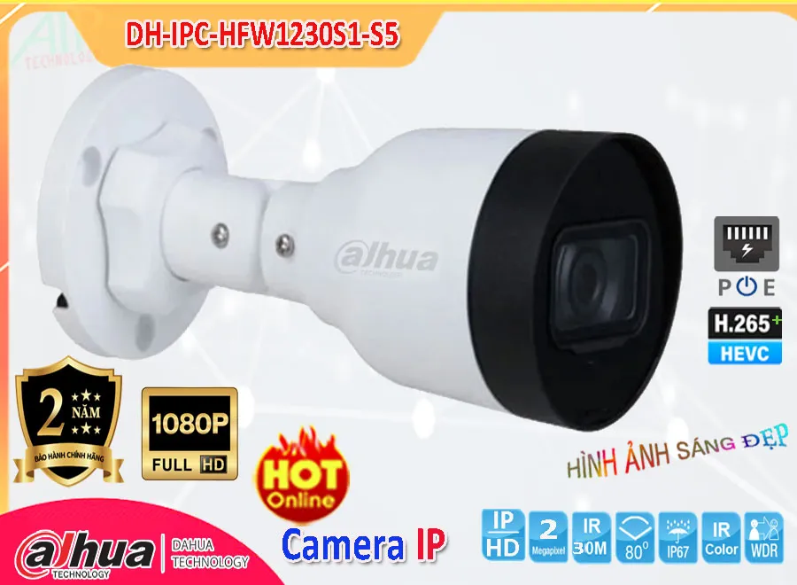 Camera IP Dahua DH-IPC-HFW1230S1-S5,DH-IPC-HFW1230S1-S5 Giá Khuyến Mãi, IP POEDH-IPC-HFW1230S1-S5 Giá